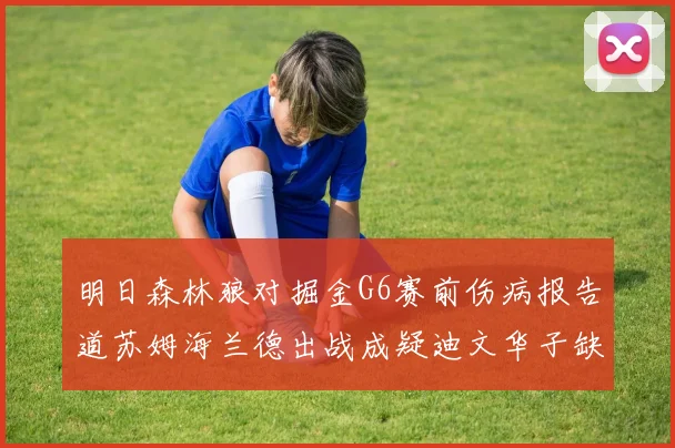 明日森林狼对掘金G6赛前伤病报告道苏姆海兰德出战成疑迪文华子缺阵