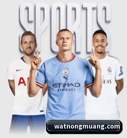 乐鱼在线登陆入口的故事